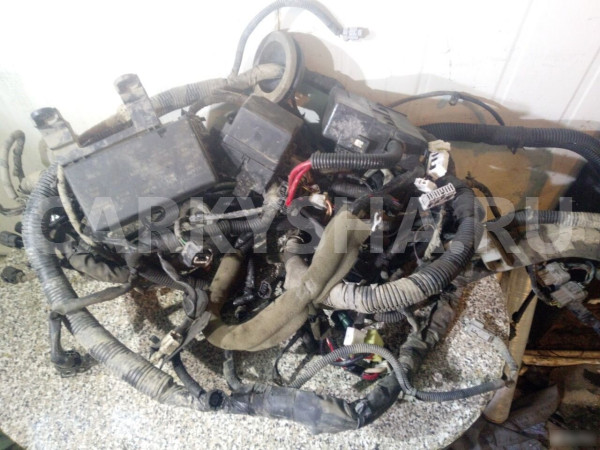 Проводка моторная Ниссан Альмера Nissan Almera Nissan Almera Classic оригинальный номер 2407595F0A