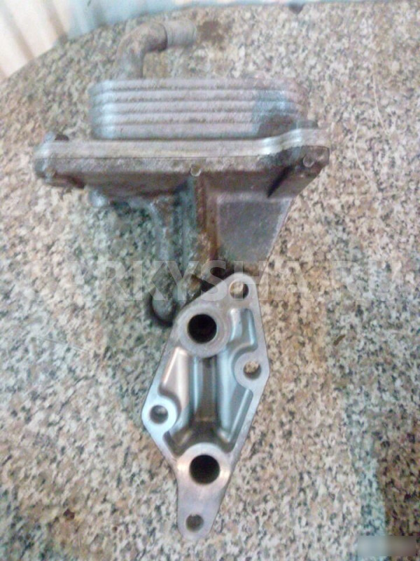 Радиатор масляный для Ниссан Икс Трейл Nissan X-Tr Nissan X-Trail оригинальный номер 21300JG31A