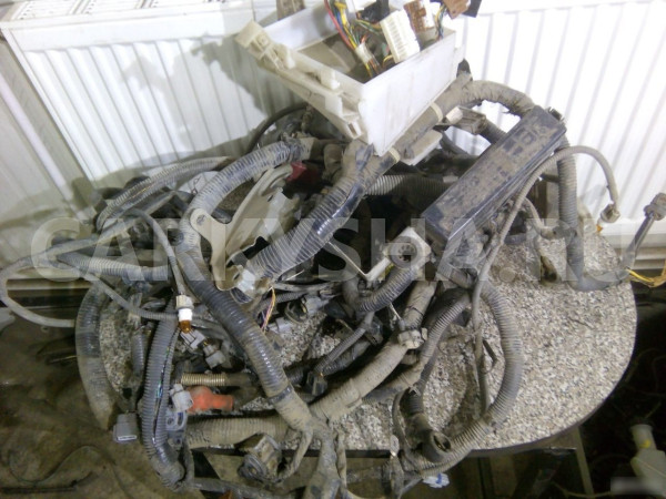 Проводка моторная Ниссан Тиида Nissan Tiida Nissan Tiida оригинальный номер 24011EM01B