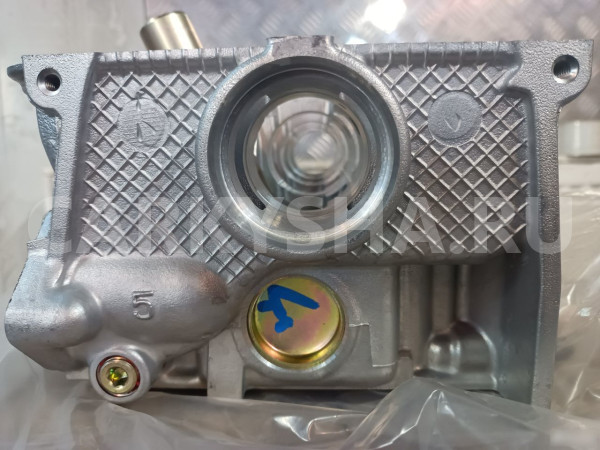 Головка блока цилиндров Митцубиси Лансер 9 Mitsubi Mitsubishi i оригинальный номер MD344154