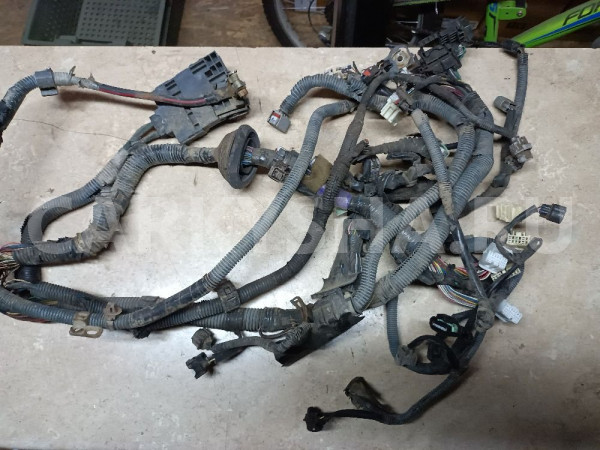 Проводка (коса)  Toyota RAV 4 2000-2005 1AZ АКПП Toyota RAV 4 оригинальный номер 8212142680